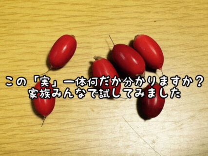 【驚愕】バラエティ番組でよく見る”ビックリフルーツ”を入手したので試してみた