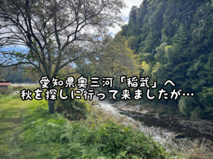 【紅葉】秋は一体どこへ？愛知県奥三河の”稲武”へ秋探しに行ってきましたが。。。