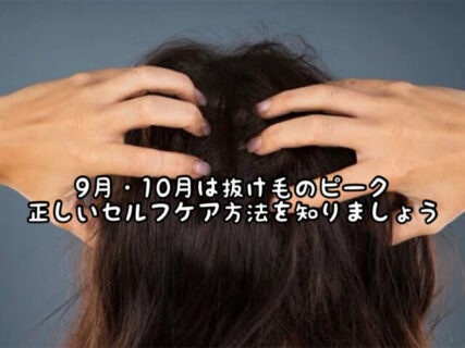 【ヘアケア】今の時期は抜け毛のピーク！早めにメンテナンスをしてトラブル予防しましょう