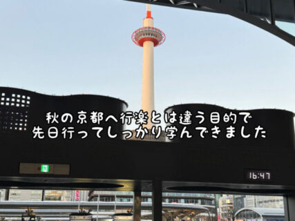 【講習会】秋の京都へ紅葉を見に行かず。。。勉強会に参加してきました