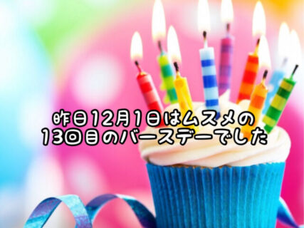 【おめでとう】ムスメがあっという間に１３回目の誕生日を迎えました