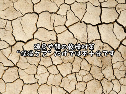 【メンテナンス】”保湿”と”加湿”似てるけど同じお手入れだと思ってない？