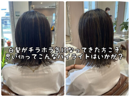 【ヘアカラー】折角やるなら。。。白髪ボカシをしたいあなた！ハイライトはコレがおすすめ！