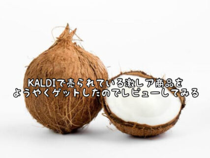 【KALDI】ついにゲット！！ずっと探し求めていたアイスを買うことができました！
