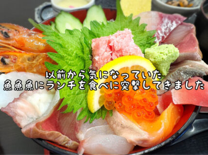 【南知多】以前から行ってみたかった地元民からも愛される”うまい魚を食わす店”に行ってきました