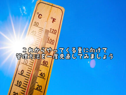 【要チェック】暑さでゴムの劣化が心配。必要になった時に安心して使えるようにするために
