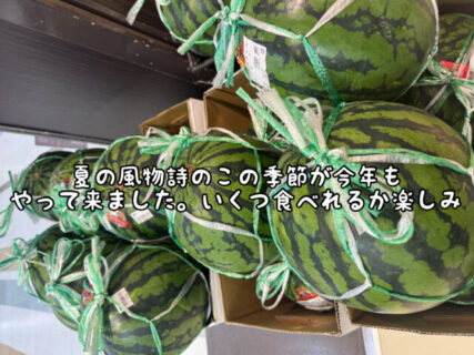【夏の風物詩】今年もこの季節が到来！！食べて食べて食べまくるぞーー！！！