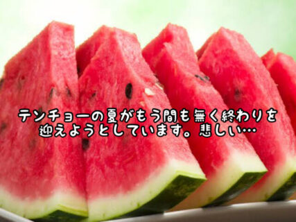 【残念】テンチョーの”スイカの夏”が今年も終わろうとしています、、、