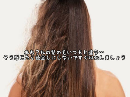 【ヘアケア】あれ？何だか前と違う髪質になったような・・・？をほっとかないで！！