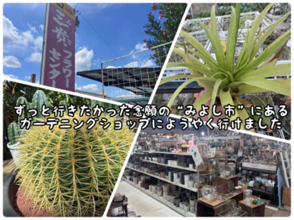 【聖地】以前からずっと行ってみたかった”三貴フラワーセンター”に初めて行ってきました