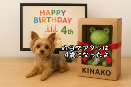 【祝】我が家の愛犬”きなこ”が4歳のバースデーを迎えました
