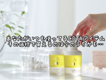 【未確定情報】もしかしたら為替や物価の上昇に合わせて他のアイテムも値上がりするかも。。。