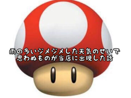 【ジメジメ】あれ？秋ってこんなに雨がたくさん降ったっけ？そのせいでこんなものが出現しました