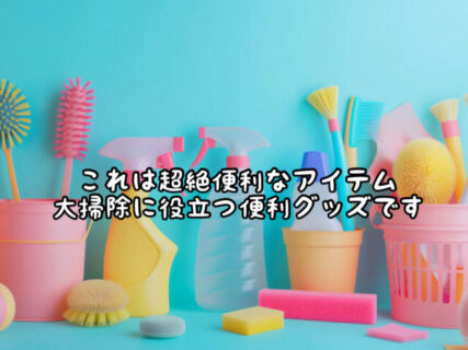 【大掃除】これはスゴすぎ！！庭掃除と洗車があっという間に完結するアイテムです