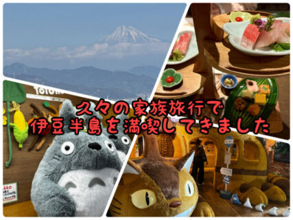 【家族旅行】今年は伊豆半島へ！ゆっくり過ごして楽しい思い出ができました