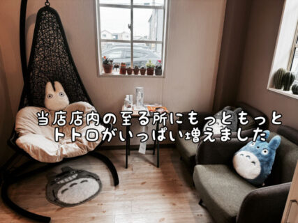 【増殖中】個室ブースに”トトロ置き場”を設置してますます当店はジブリ化してきています