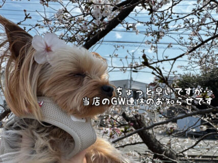 【2026】今年のGW連休をちょっと早いですがお伝えさせて頂きます！