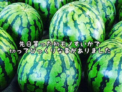 【WELCOME】今年もやってきたこの季節！初モノを早速頂きました