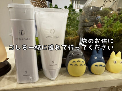 【ヘアケア】当店ではこんなお出かけに最適サイズのSh&Trも販売しています