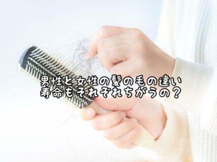 【比較】髪の寿命は男性と女性で違う？性別によるヘアサイクルの差
