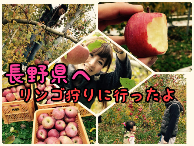 【信州】子供を連れて初めてのリンゴ狩りに行って来ました