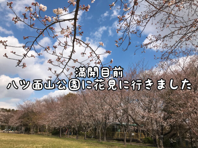 春本番 子供を連れて地元の八ツ面山にお花見に行ってきました 愛知県 西尾市の美容室age アージュ アンチエイジングケアに特化したヘアサロン 春本番 子供を連れて地元の八ツ面山にお花見に行ってきました 愛知県 西尾市の美容室age アージュ アンチエイジングケアに特化したヘアサロン