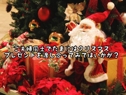 【X’mas】サンタさんが来ない頑張る大人にこんなプレゼントをしてみてはいかが？