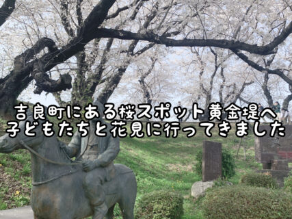 【名所】吉良町にある”黄金堤”に満開の桜を見に行ってきました