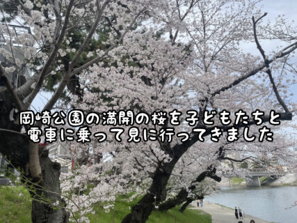 【春】満開の桜を岡崎公園に電車に乗って見に行ってきました