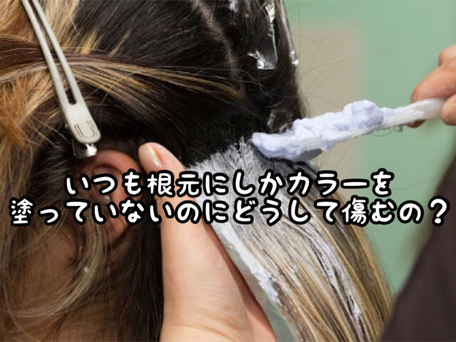 ヘアカラー 根元のリタッチ染めを あえて選んでる のにどうして毛先が傷むの 愛知県 西尾市の美容室age アージュ アンチエイジングケアに特化したヘアサロン
